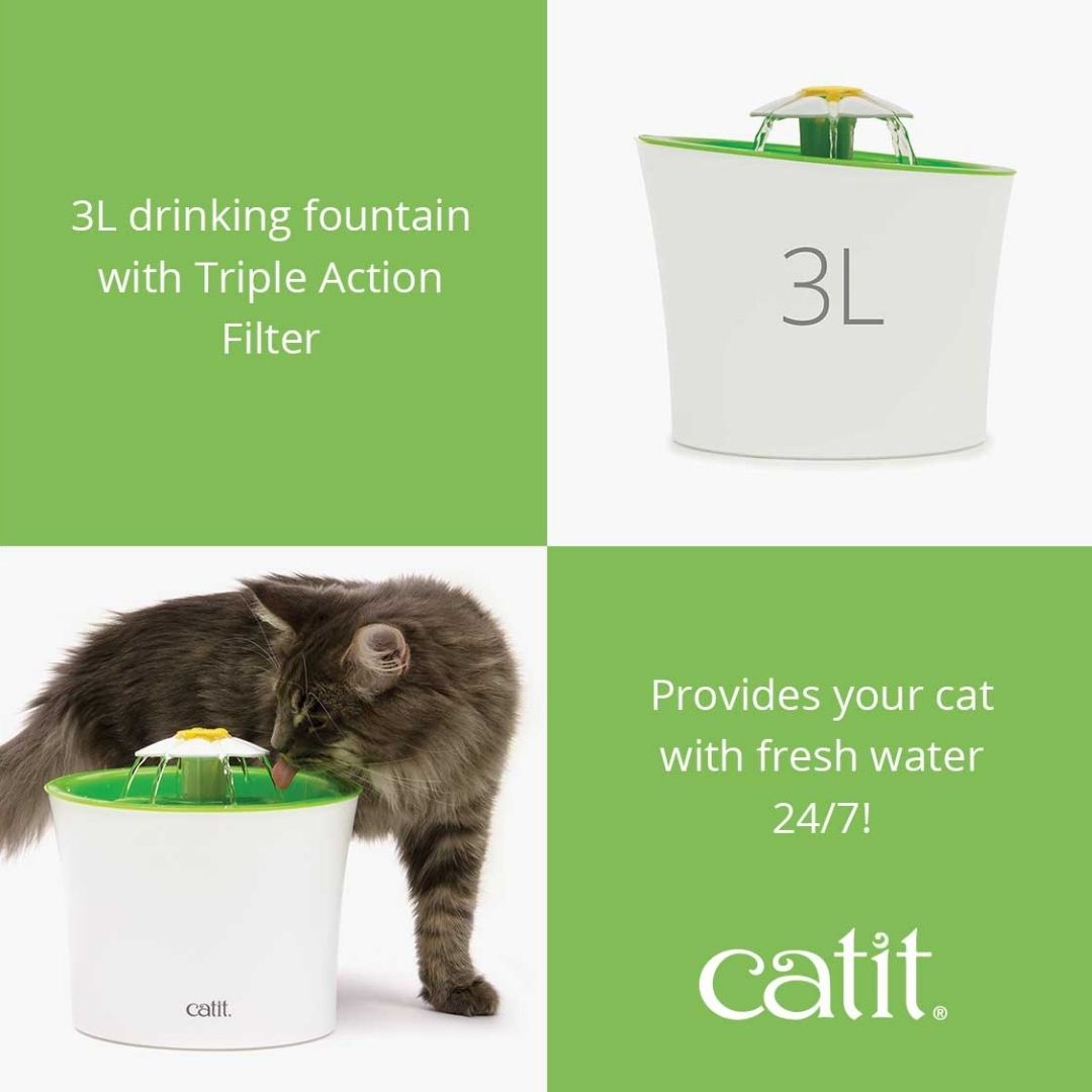 Cat water fountain ireland on sale